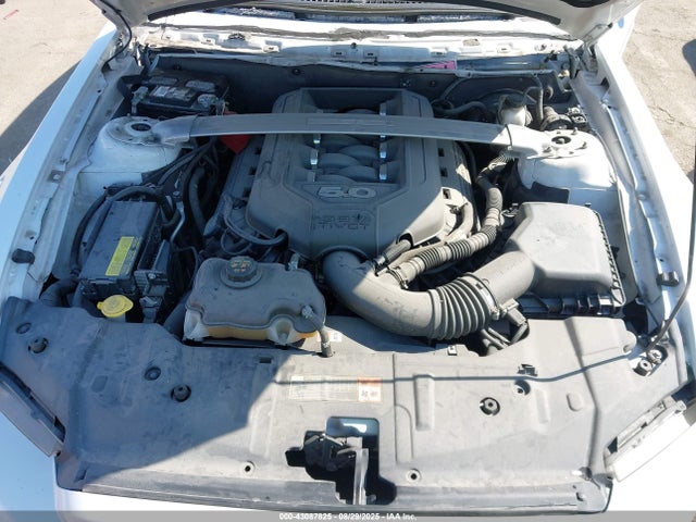 Ford 2014 2014 1ZVBP8CF9E5327832 Image 10