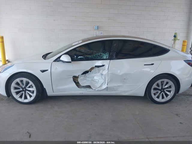 Tesla MODEL 3 2023 5YJ3E1EA3PF607124 Image 14