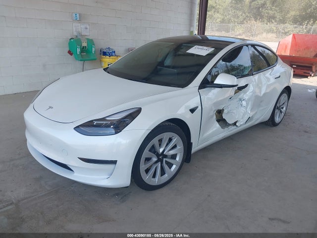 Tesla MODEL 3 2023 5YJ3E1EA3PF607124 Image 2