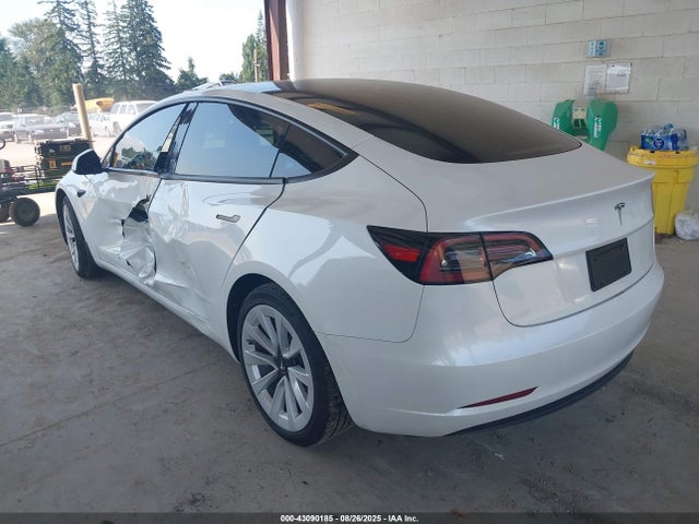 Tesla MODEL 3 2023 5YJ3E1EA3PF607124 Image 3