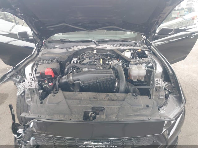 1FAGP8UHXR5127000 Ford Mustang Ecoboost