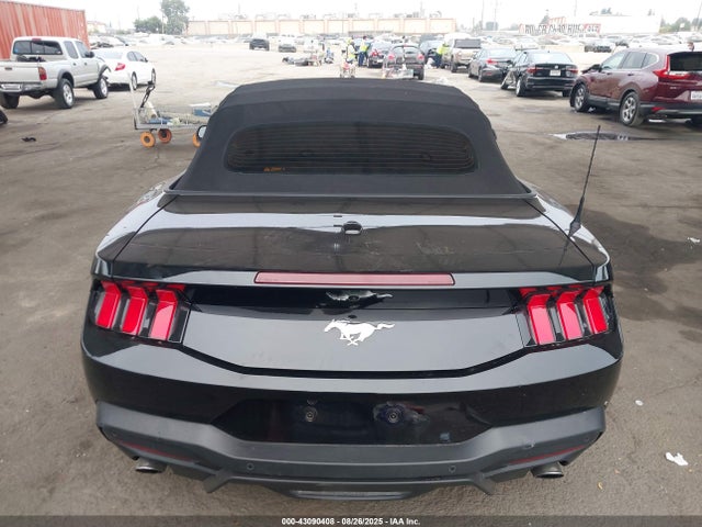 1FAGP8UHXR5127000 Ford Mustang Ecoboost