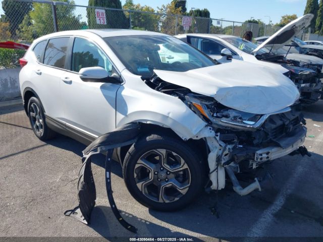 2019 HONDA CR-V 5J6RW2H80KL020126