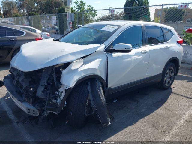 2019 HONDA CR-V 5J6RW2H80KL020126 Photo 1