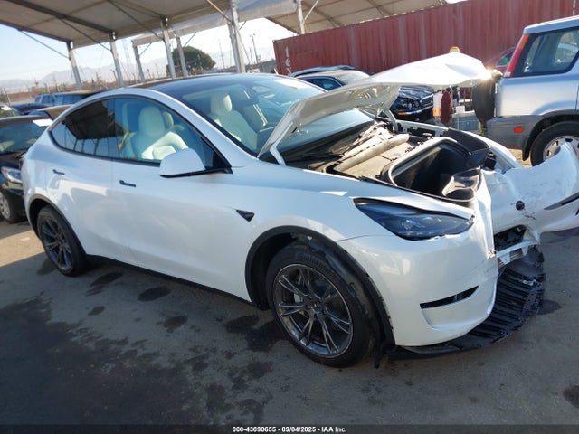 2024 TESLA MODEL Y 7SAYGDEE2RF123830 Photo 0