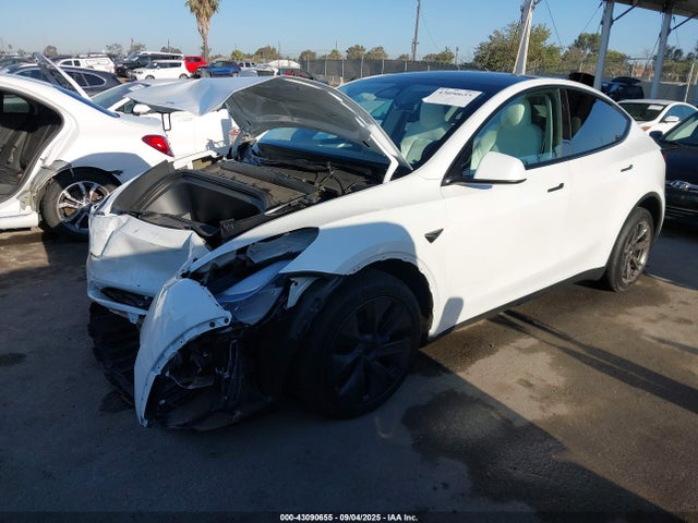 2024 TESLA MODEL Y 7SAYGDEE2RF123830 Photo 1