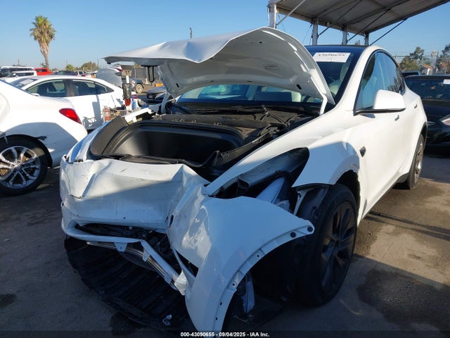 2024 TESLA MODEL Y 7SAYGDEE2RF123830 Photo 5