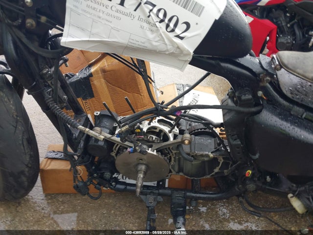 2011 HARLEY-DAVIDSON XL1200 1HD1LC313BC410664 Photo 8