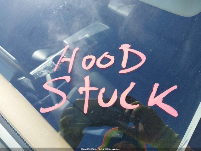 2019 TESLA MODEL 3 5YJ3E1EA9KF485913 Photo 9