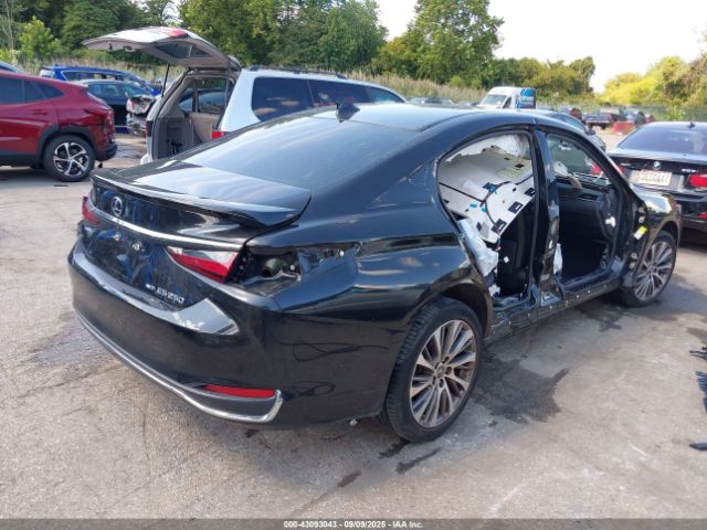 2021 LEXUS ES 250 58AD11D11MU005220 Photo 3