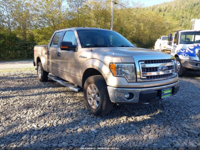 2013 FORD F-150 1FTFW1EF1DKG11614