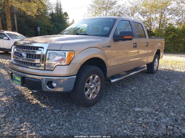 2013 FORD F-150 1FTFW1EF1DKG11614 Photo 1
