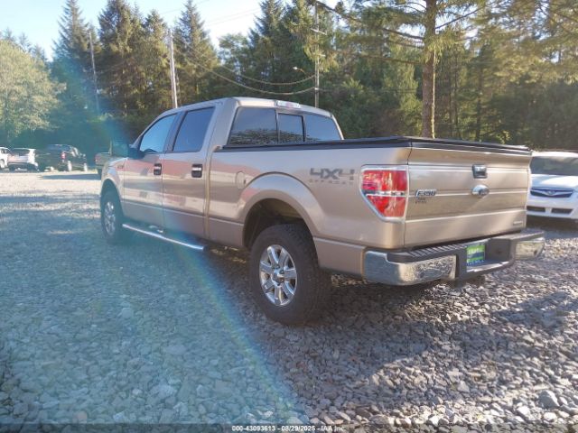 2013 FORD F-150 1FTFW1EF1DKG11614 Photo 2