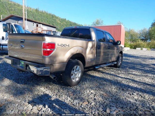 2013 FORD F-150 1FTFW1EF1DKG11614 Photo 3