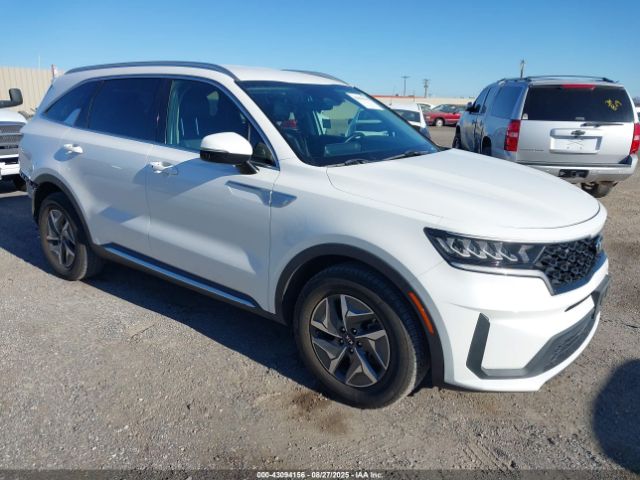2021 KIA SORENTO HYBRID KNDRG4LG1M5039269