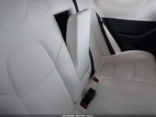 2022 TESLA MODEL 3 5YJ3E1EB5NF254066 Photo 7