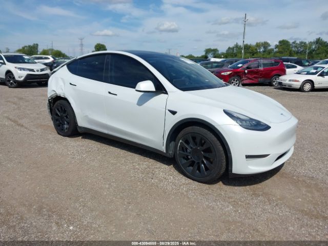 2020 TESLA MODEL Y 5YJYGDEE2LF038779