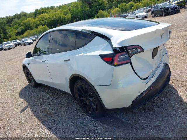 2020 TESLA MODEL Y 5YJYGDEE2LF038779 Photo 2