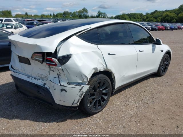 2020 TESLA MODEL Y 5YJYGDEE2LF038779 Photo 3