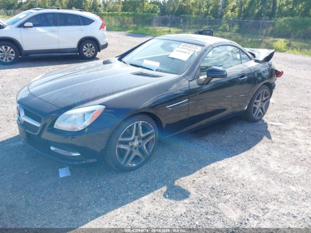 2014 MERCEDES-BENZ SLK 250 WDDPK4HA8EF080820 Photo 1