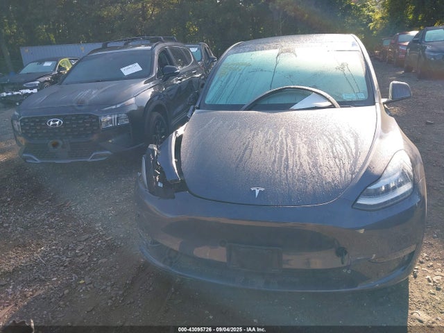 7SAYGDEE6PA098084 Tesla Model Y