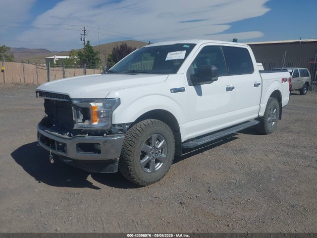 Ford 5.0l 4v 2019 1FTEW1E54KKD52102 Image 2