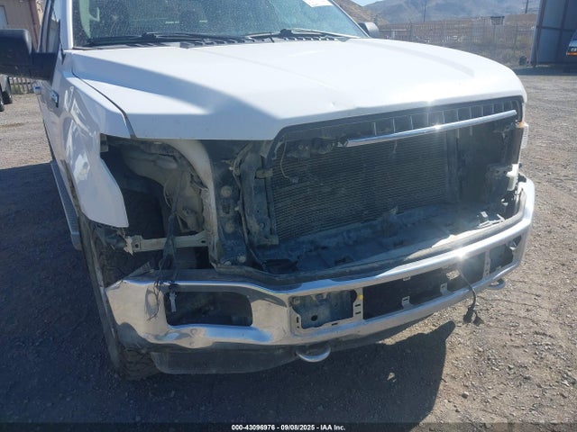 Ford 5.0l 4v 2019 1FTEW1E54KKD52102 Image 6