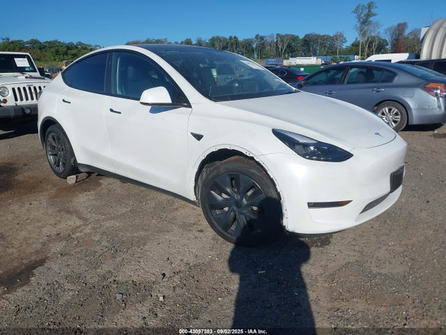 2025 TESLA MODEL Y 7SAYGDEE1SA369741 Photo 0