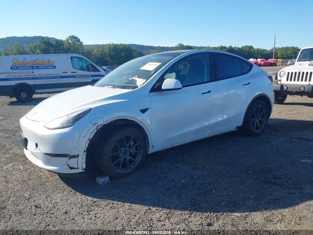 2025 TESLA MODEL Y 7SAYGDEE1SA369741 Photo 1