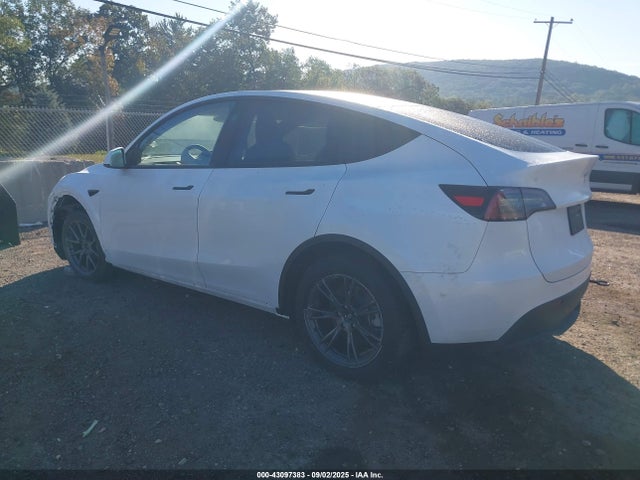 2025 TESLA MODEL Y 7SAYGDEE1SA369741 Photo 2