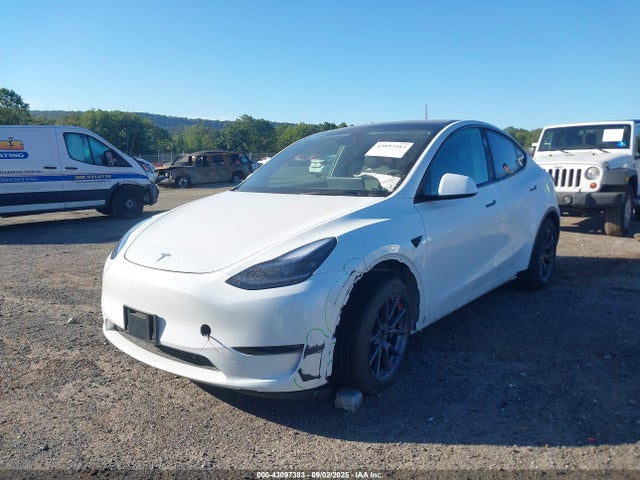 2025 TESLA MODEL Y 7SAYGDEE1SA369741 Photo 5