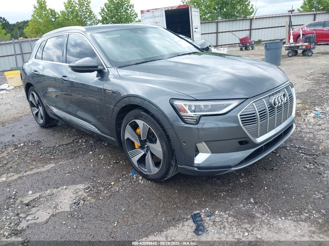 2019 AUDI E-TRON WA1VAAGEXKB007405 Photo 0
