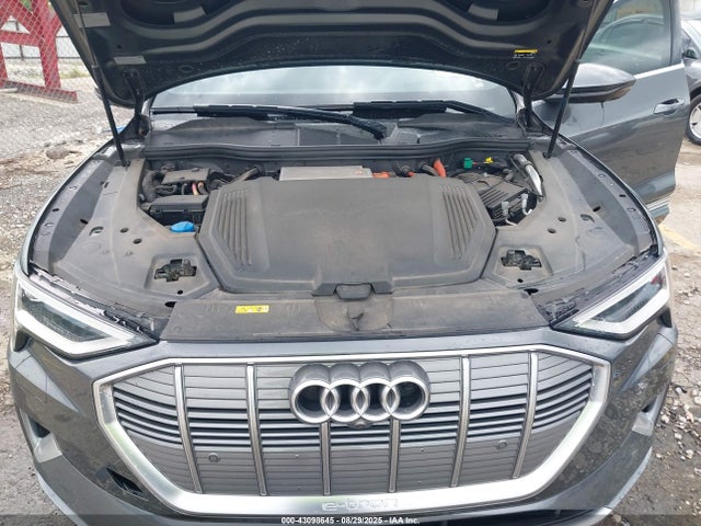 2019 AUDI E-TRON WA1VAAGEXKB007405 Photo 9
