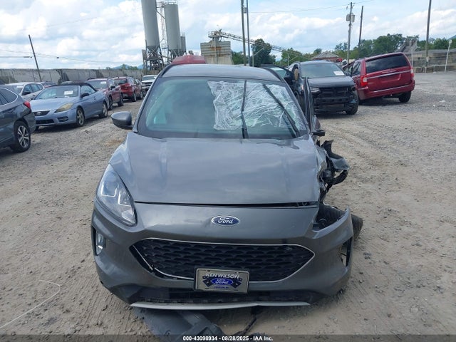 1FMCU9H67MUA12106 Ford dragon di tc