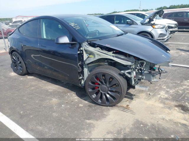 2025 TESLA MODEL Y 7SAYGDEF8SA370135