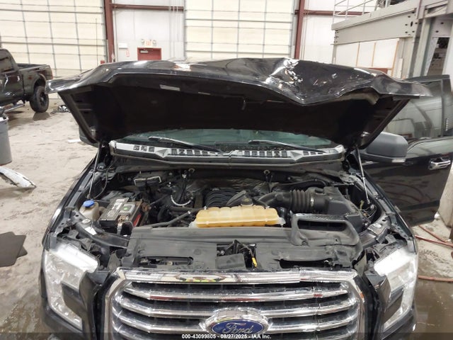 Ford 2015 2015 1FTEW1EF0FFA71731 Image 10