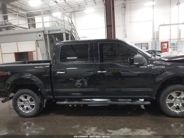 Ford 2015 2015 1FTEW1EF0FFA71731 Image 13