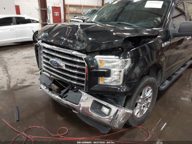 Ford 2015 2015 1FTEW1EF0FFA71731 Image 19