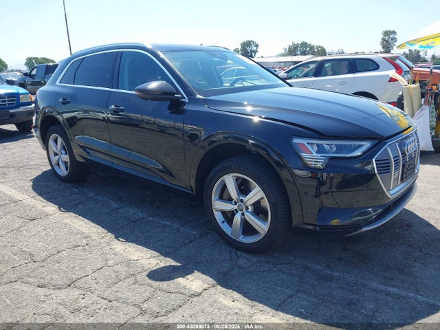 2019 AUDI E-TRON WA1LABGE5KB021077 Photo 0