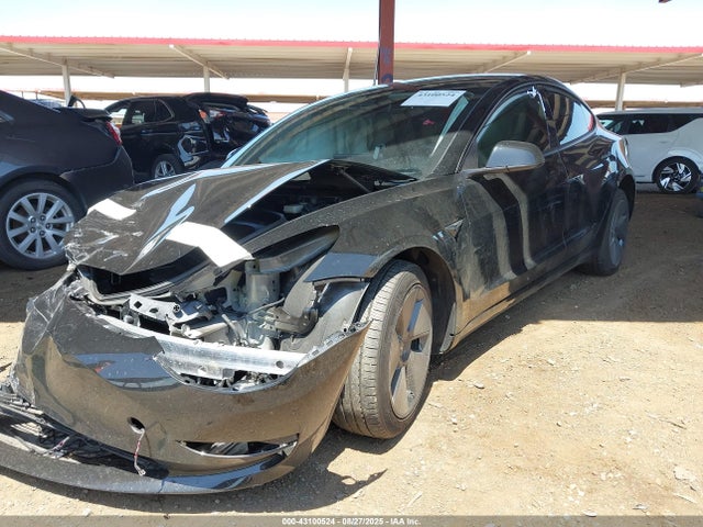 2023 TESLA MODEL 3 5YJ3E1EAXPF693709 Photo 1
