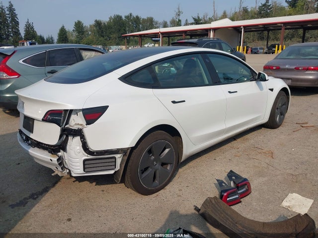 2023 TESLA MODEL 3 5YJ3E1EA0PF554432 Photo 3