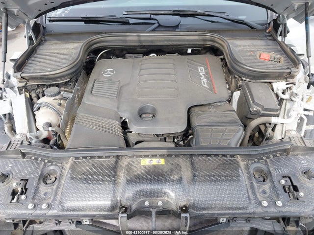 4JGFD6BB9RB155496 Mercedes-Benz m256
