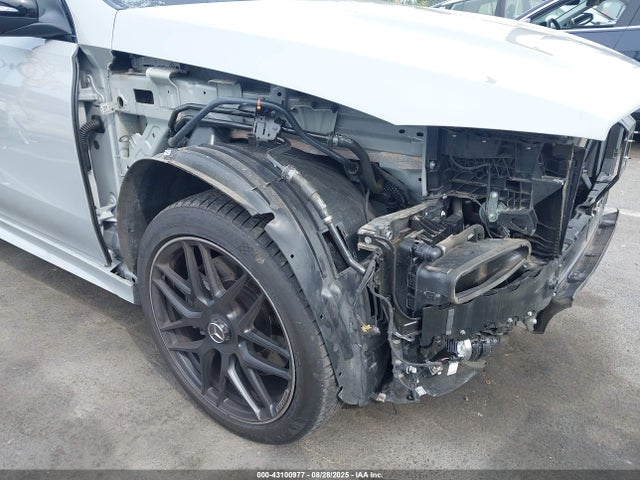 4JGFD6BB9RB155496 Mercedes-Benz m256