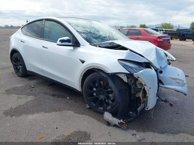 2021 TESLA MODEL Y 5YJYGDED1MF116252 Photo 0