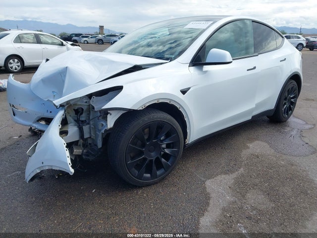2021 TESLA MODEL Y 5YJYGDED1MF116252 Photo 1