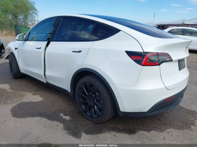 2021 TESLA MODEL Y 5YJYGDED1MF116252 Photo 2