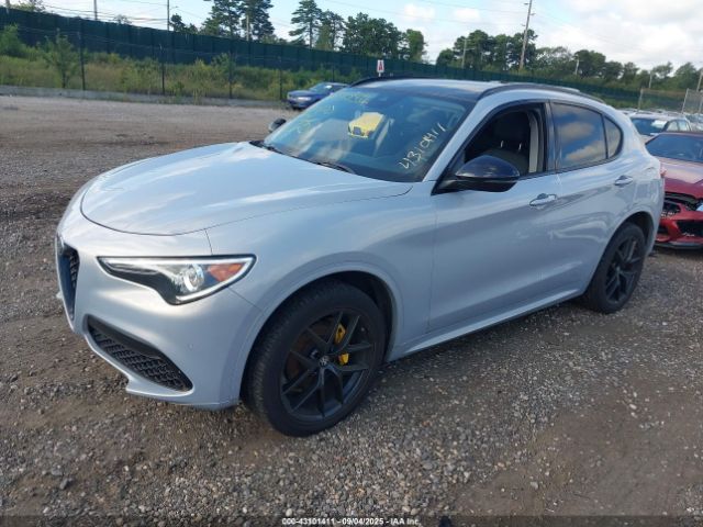 2021 ALFA ROMEO STELVIO ZASPAKBNXM7D15294 Photo 1