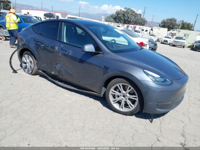 2023 TESLA MODEL Y 7SAYGDEE8PA122529 Photo 0