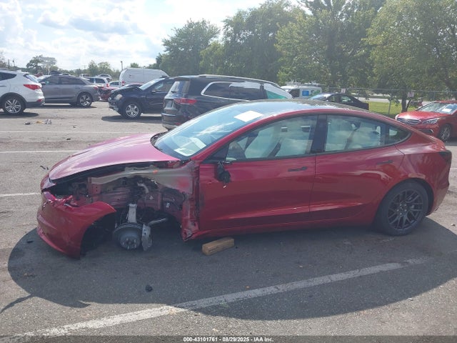 2025 TESLA MODEL 3 5YJ3E1EB8SF017177 Photo 5