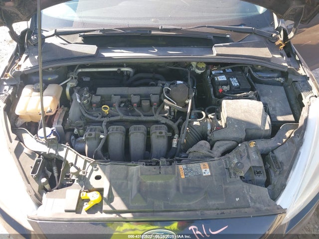 1FADP3F29FL202081 Ford Focus
